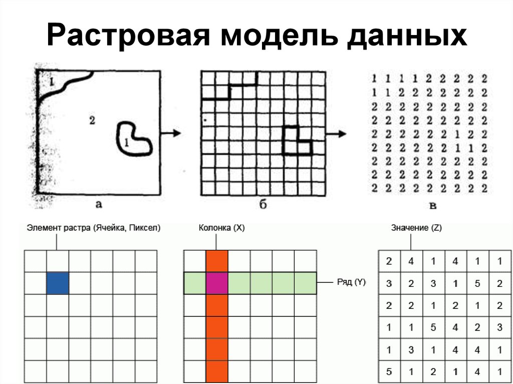 Элементарной единицей изображения в растровой модели данных является