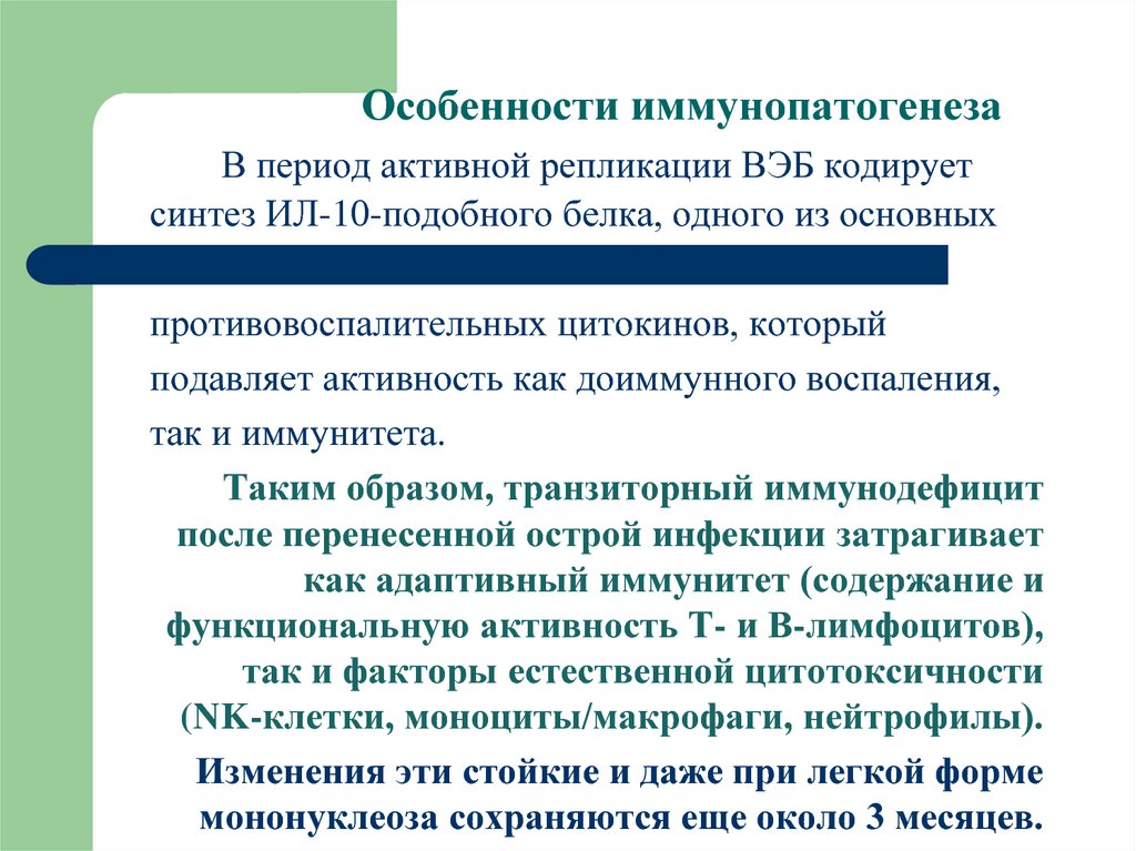 Период активного. Особенности иммунопатогенеза. Вирус Эпштейн-Барра иммунопатогенез. Вирус Эпштейна-Барр иммунопатогенез. Иммунопатогенез основных форм.