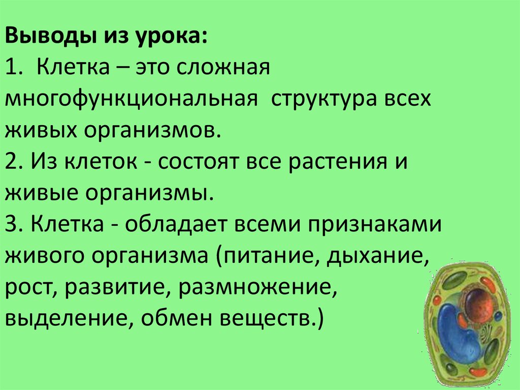 Доказать живой организм. Клеточное строение организма вывод. Вывод о строении растительной клетки. Вывод о особенностях живой клетки. Клетка урок биологии.