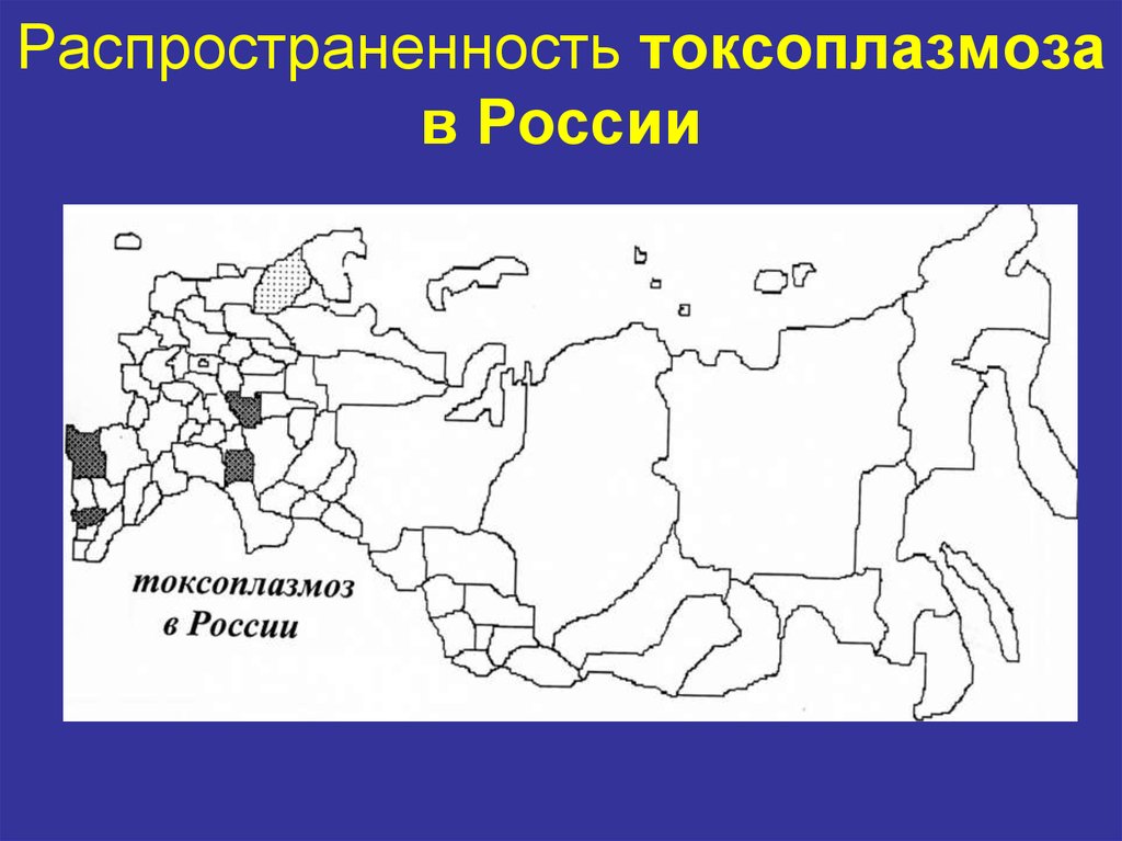 Характеристика токсоплазмы. Распространение токсоплазмы. Токсоплазмоз характеристика возбудителя. Токсоплазмоз микробиология. Токсоплазмоз общая характеристика.