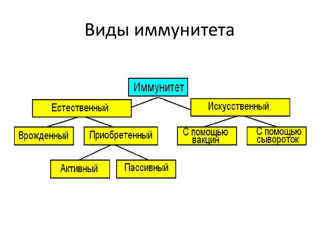 Естественный иммунитет примеры. Схема виды иммунитета биология 8. Формы иммунитета схема. Классификация иммунитета таблица.