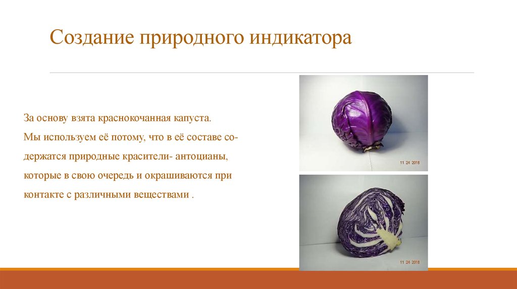 Создание природного индикатора