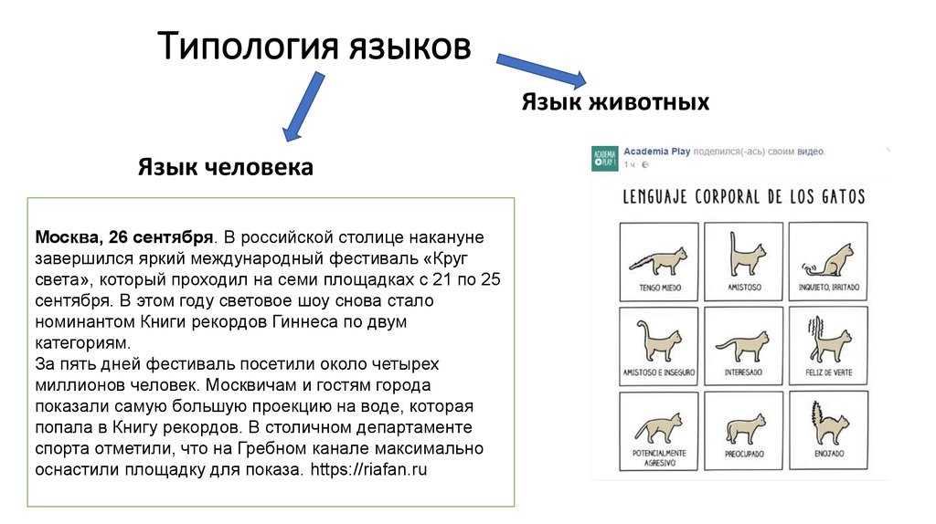 Типология языков