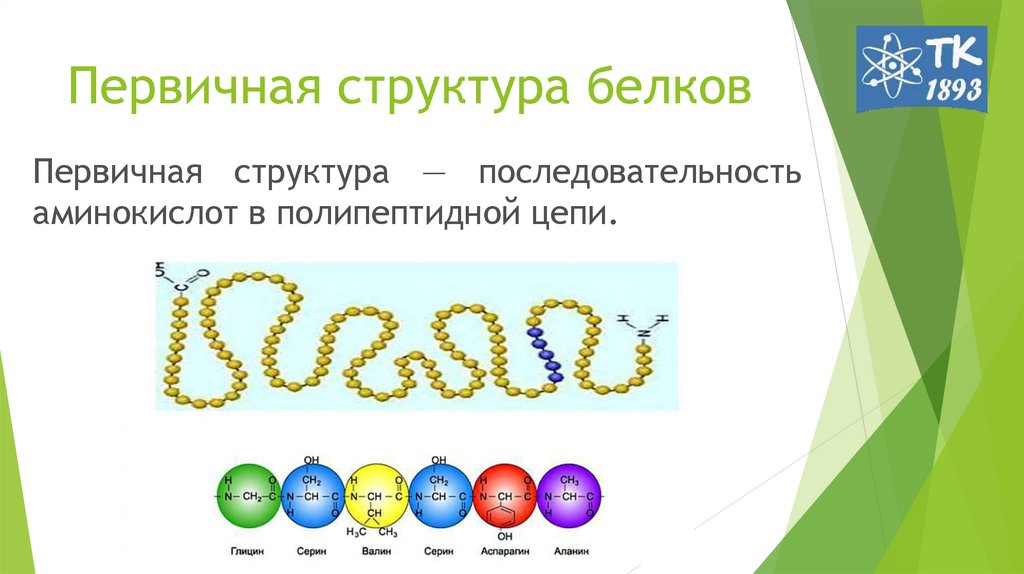 Изменение аминокислот последовательности белков. Первичная структура белков. Первичная структура белка. Цепочка аминокислот. Последовательность аминокислот.