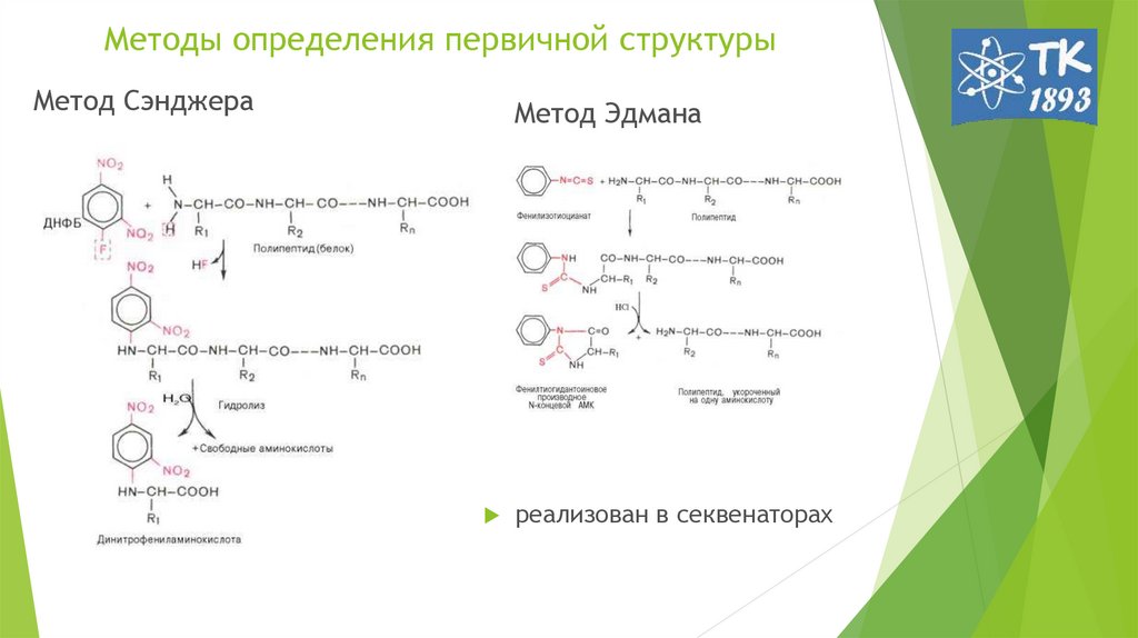 Первичную структуру молекул определяют