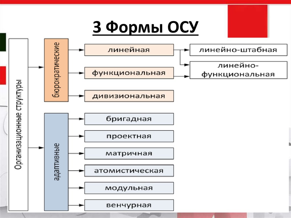 Линейная осу. Форма осы. Плюсы линейной осу. Линейная осу применяется.