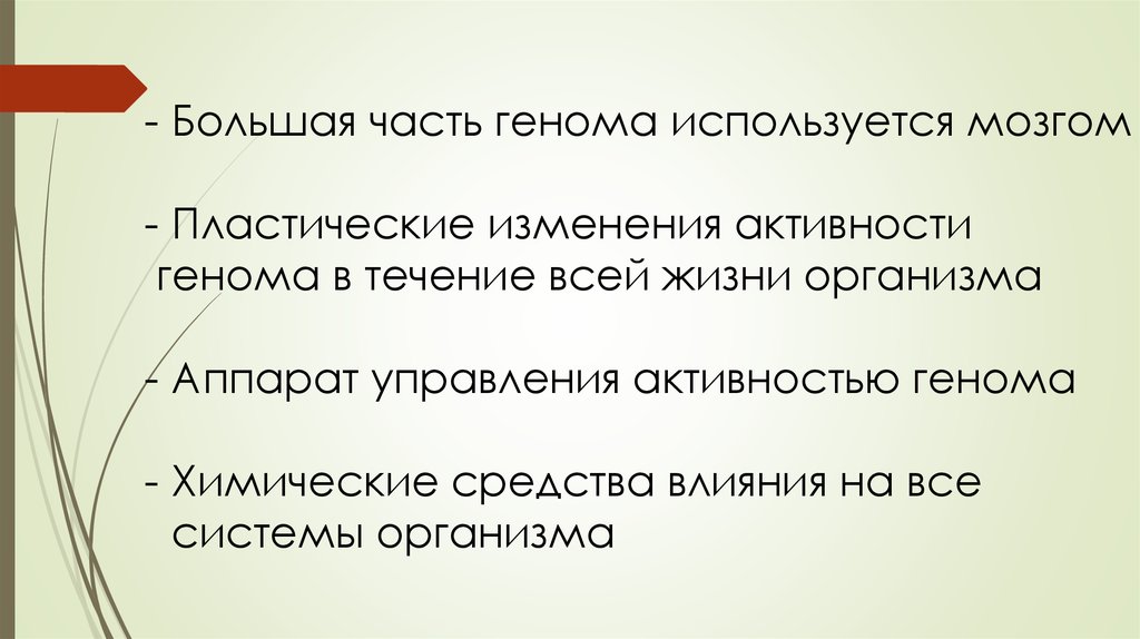 Ли активность. Продолжительность жизни нейронов.