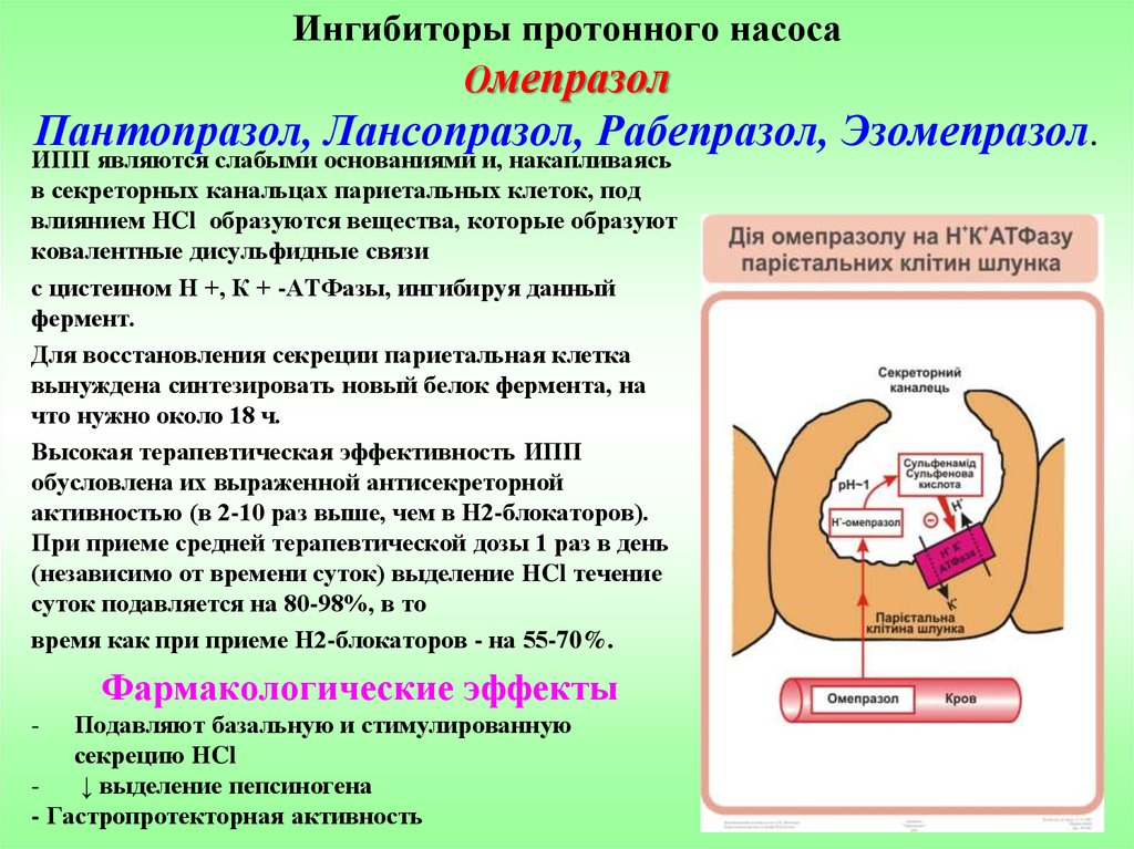 Ингибиторы протоновой помпы презентация