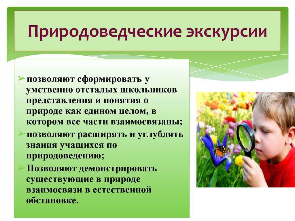 План экскурсии в природу в начальной школе