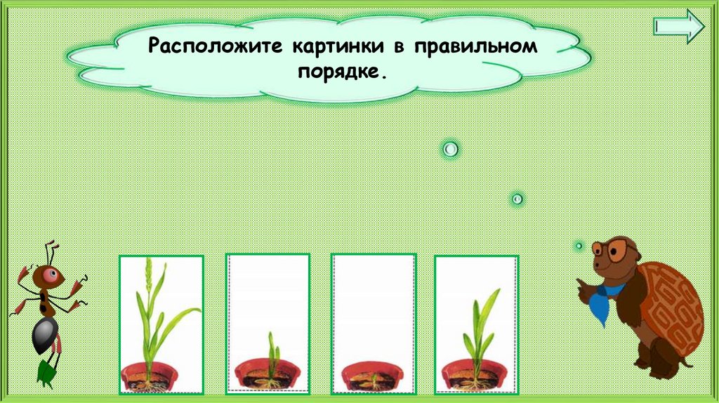 Окружающий мир 1 класс как живут растения презентация