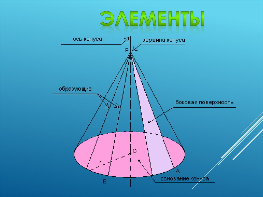 Стадия зеленого конуса как выглядит фото