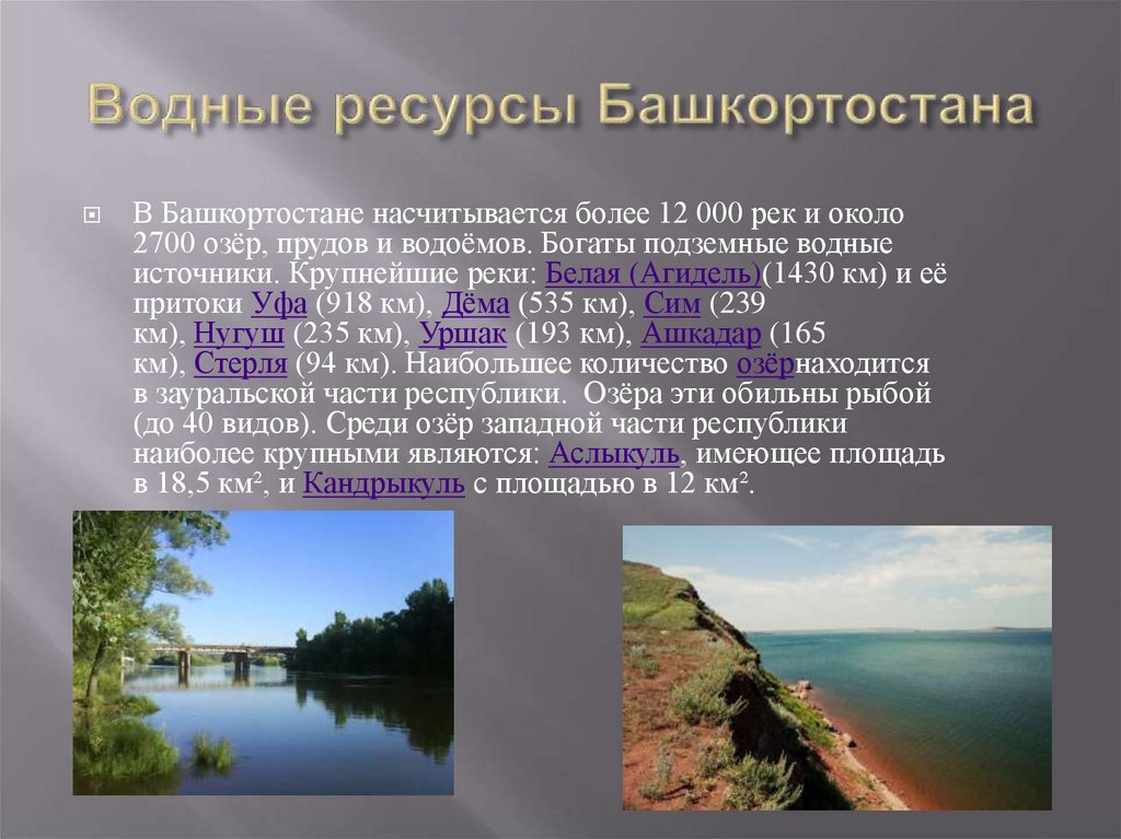 Водные богатства проект