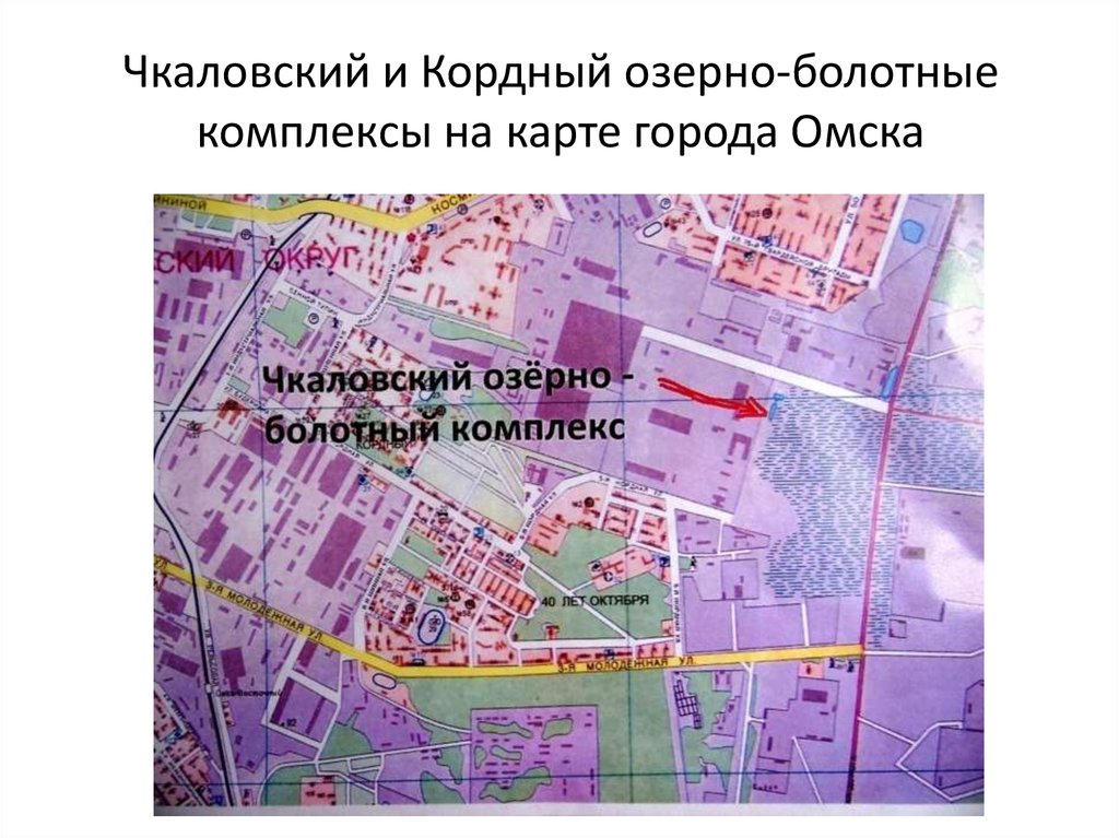 Чкаловский и Кордный озерно-болотные комплексы на карте города Омска