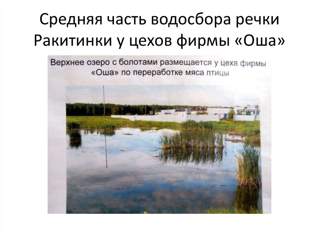 Средняя часть водосбора речки Ракитинки у цехов фирмы «Оша»