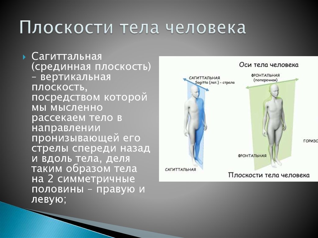 Фронтальная плоскость тела