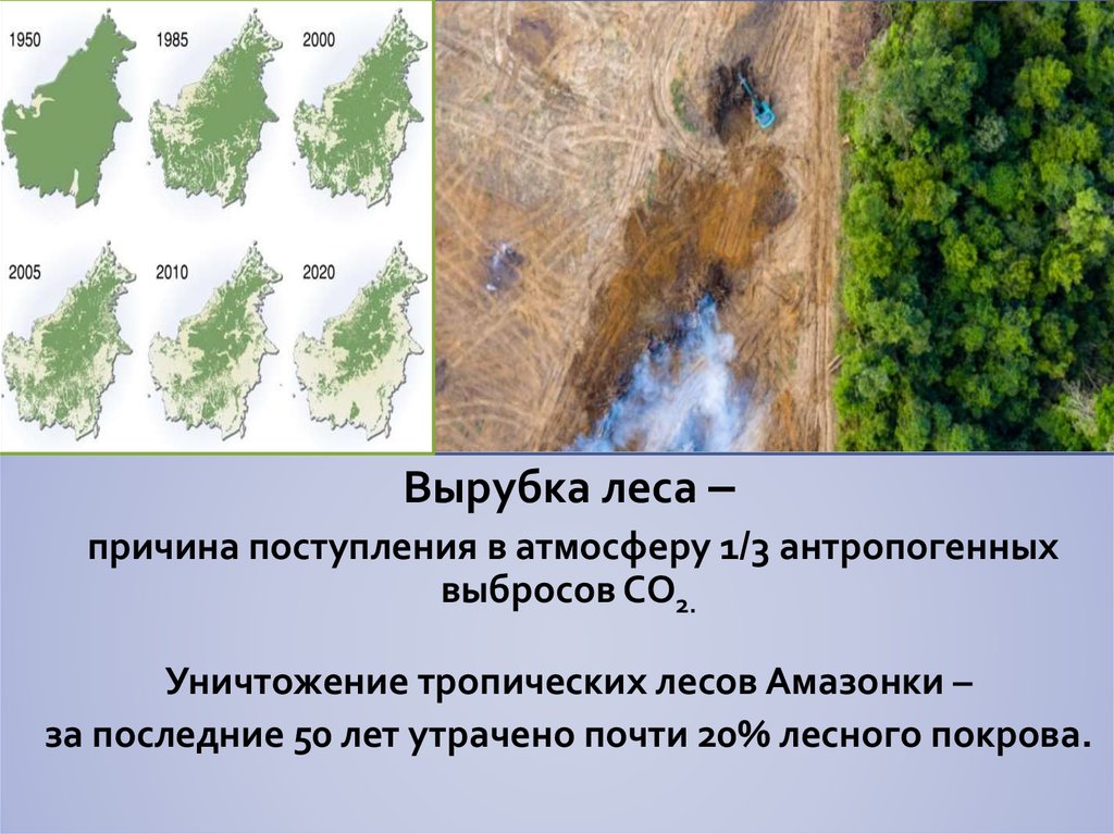 Причины вырубки лесов. Вырубка лесов причины. Вырубка лесов глобальное потепление. Последствия вырубки лесов изменения климата. Причины уничтожения тропических лесов.