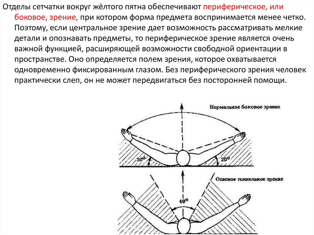 Использование бокового или заднебокового направления света