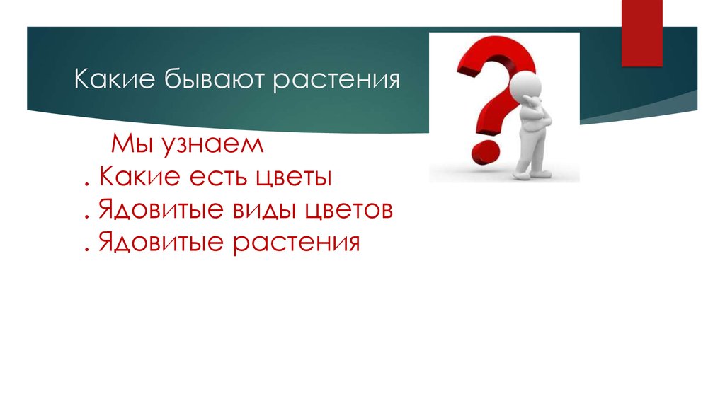 Какие бывают растения