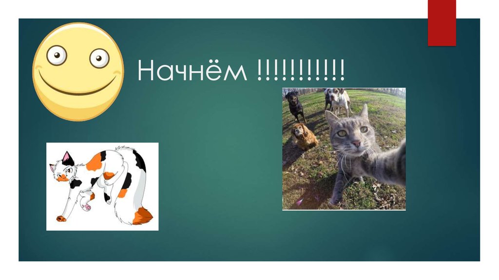 Начнём !!!!!!!!!!!