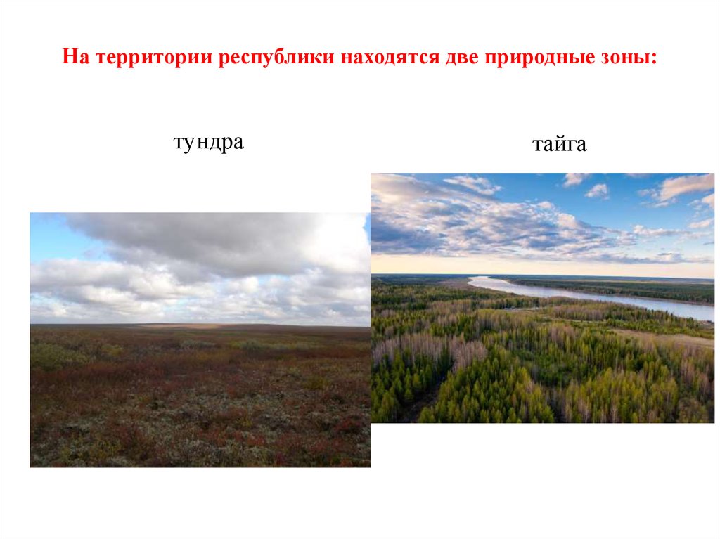 Природная зона тундры расположена. Природные зоны Тайга и тундра. Природные зоны Якутии. Природные зоны Республики Саха. Якутск природная зона.