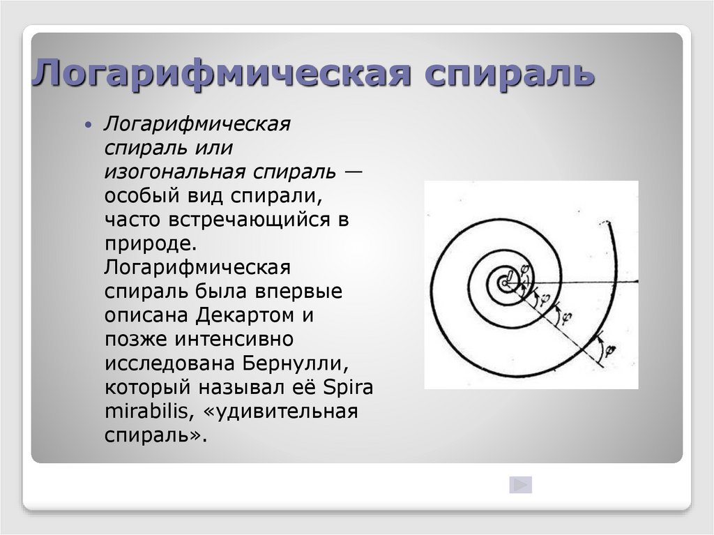 Логарифмическая спираль презентация