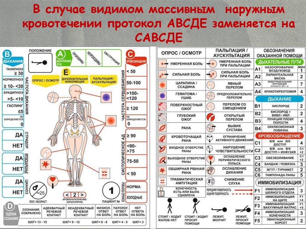 Случай видимый. Протокол АВСДЕ. Осмотр АВСДЕ. Нормопное это.