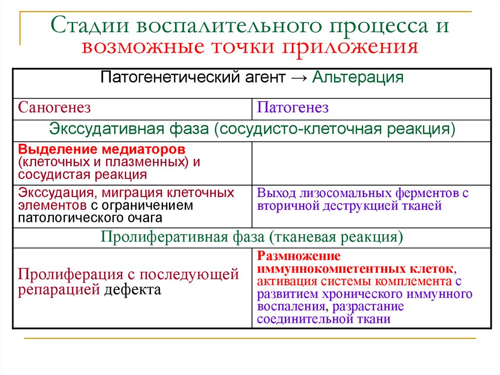 Стадии воспаления