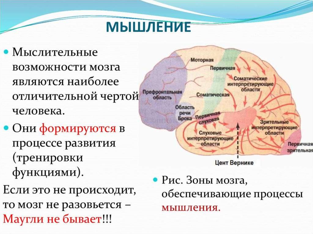 Мышление в психологии презентация