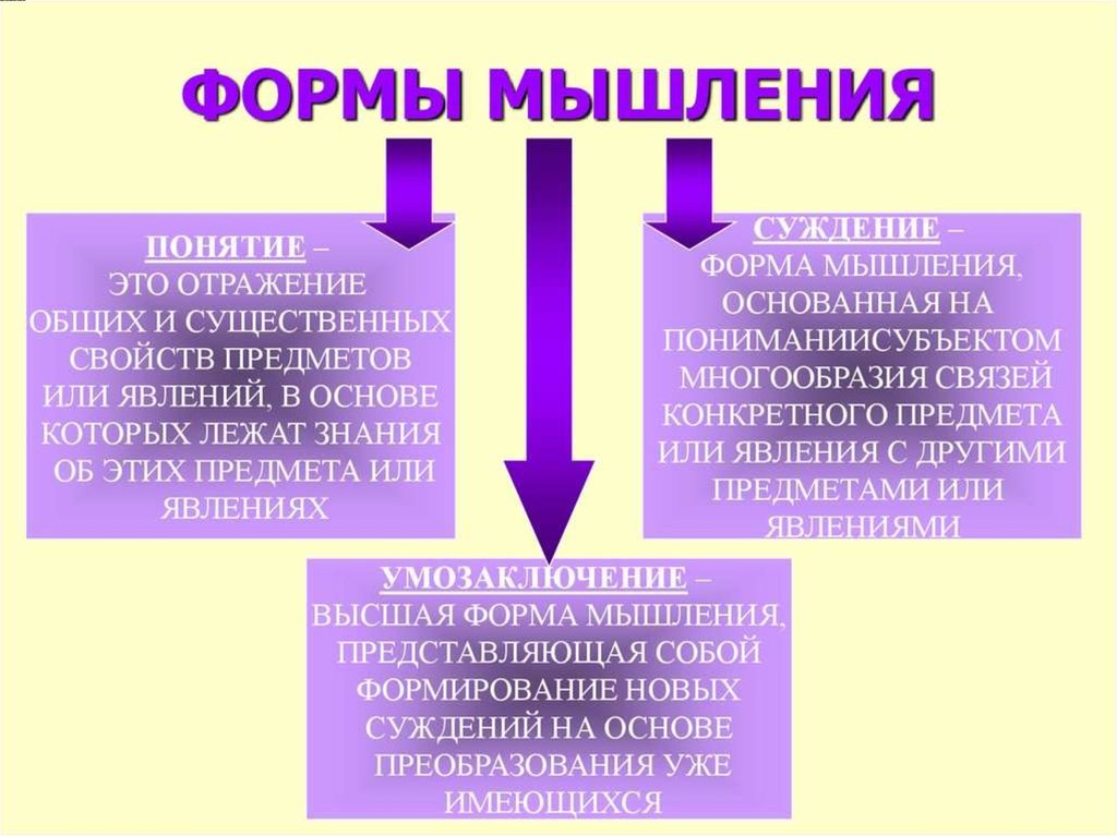 Основные формы мышления презентация