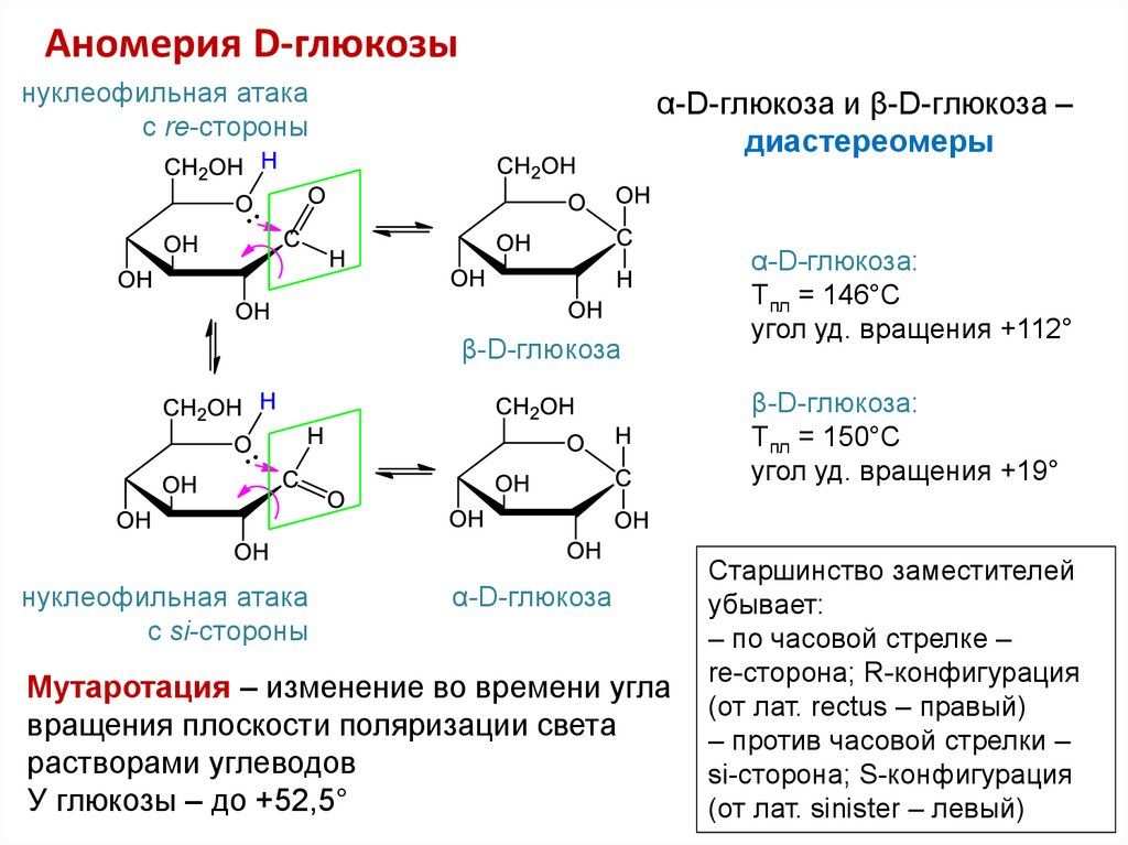 Мутаротация фруктозы схема