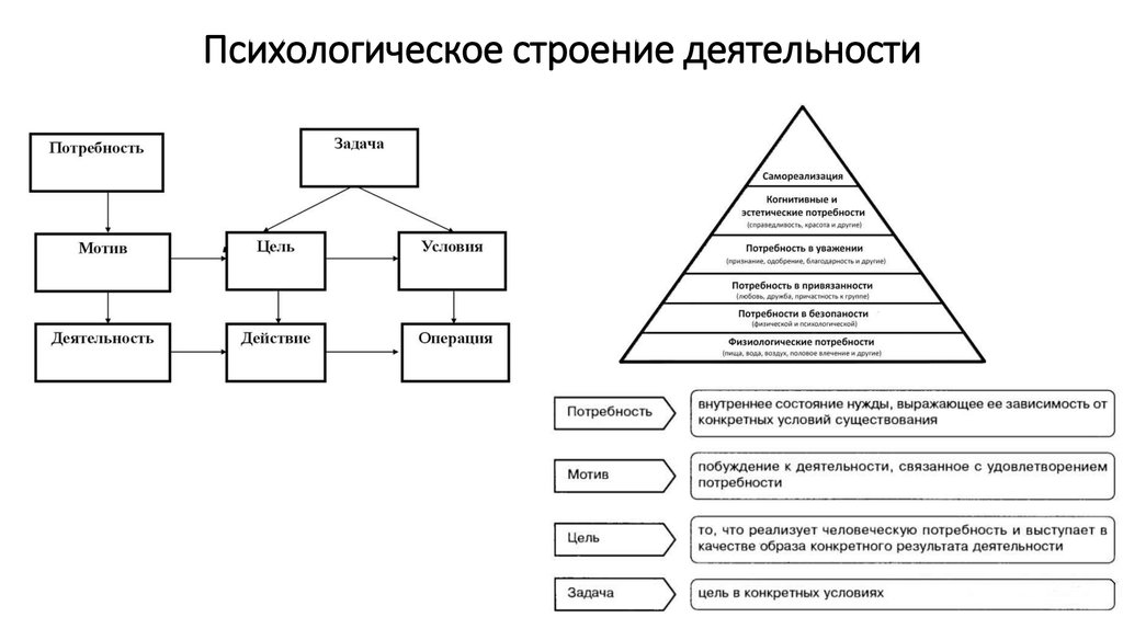 Психологическая структура деятельности а.н. Леонтьева.. Строение деятельности по Леонтьеву. Составить схему структуры деятельности