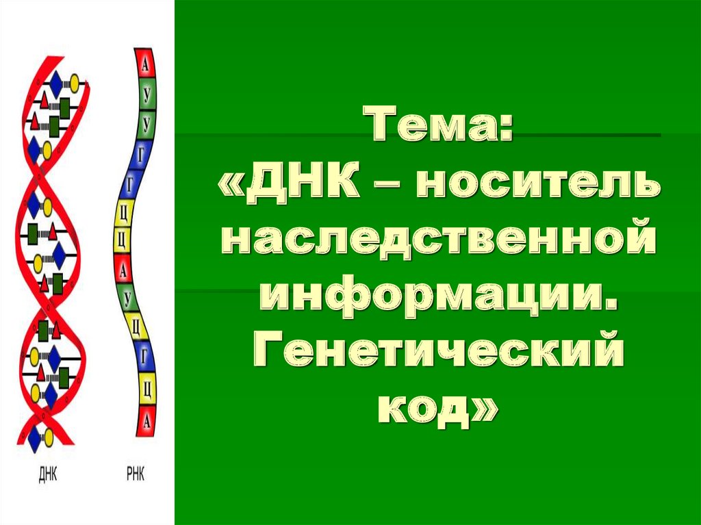 Проект на тему днк и наследственная информация