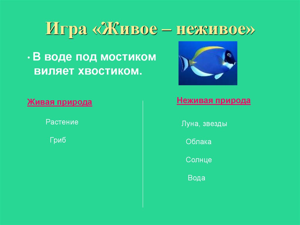 Гриб живое или неживое. Игра Живая и неживая природа. Игра живое неживое. Грибы это Живая или неживая природа. Живая и неживая вода.