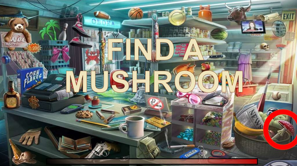 FIND A MUSHROOM