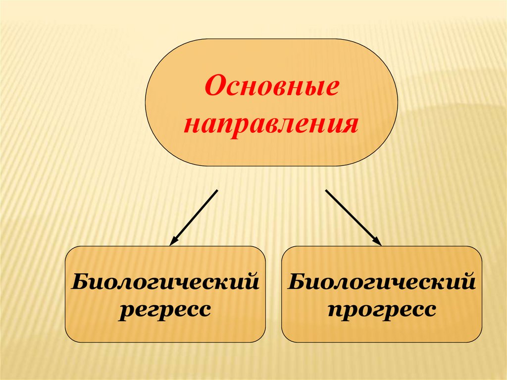 Схема биологического прогресса и регресса