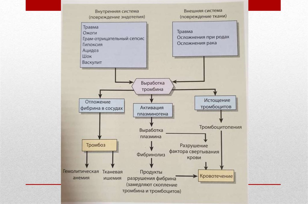 Двс синдром патофизиология презентация