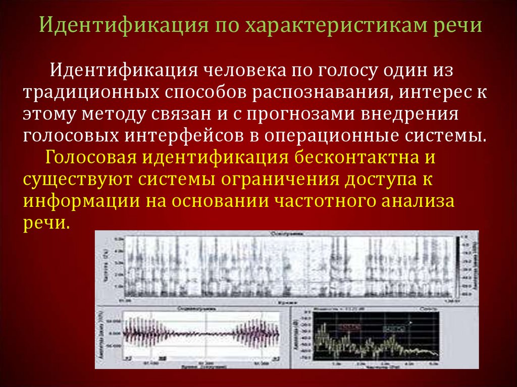 Идентификация личности презентация