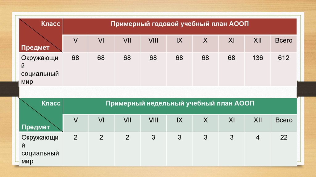 Учебный план для детей с умственной отсталостью