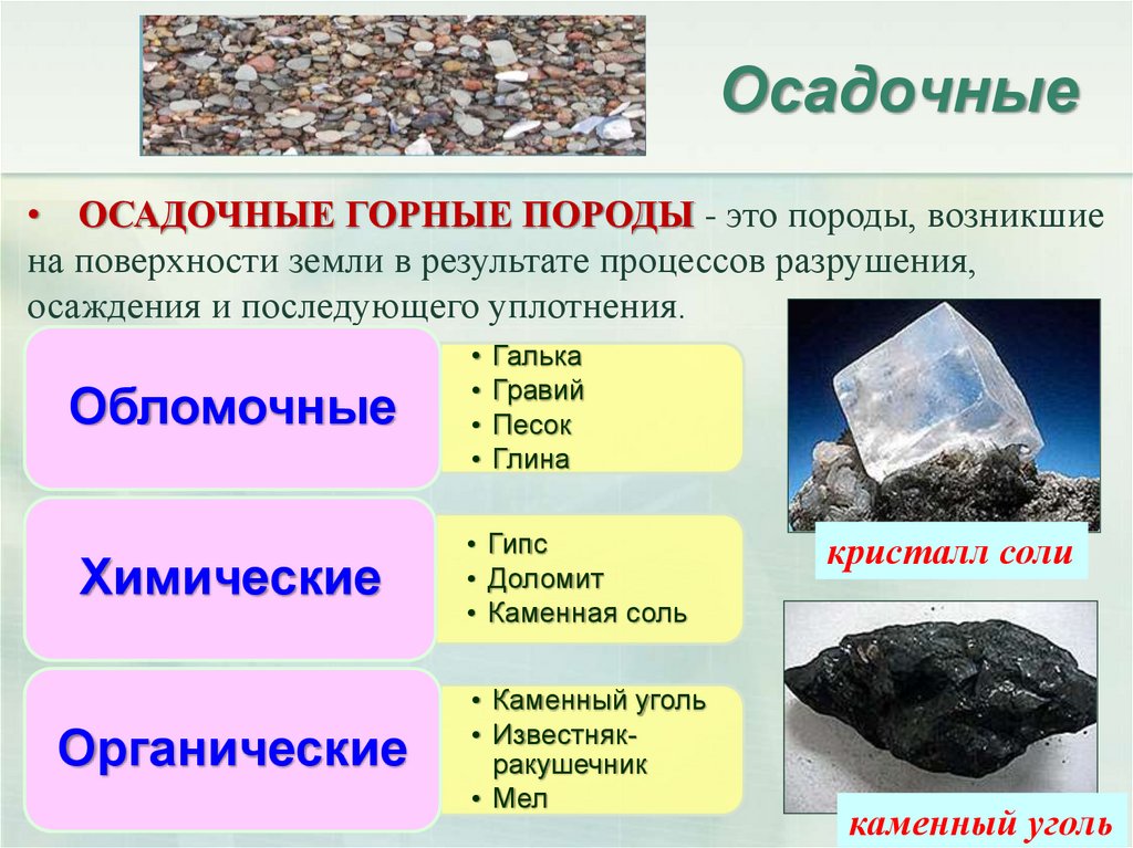 Какой горной породе относится. Осадочные горные породы 5 класс география. Осадочные органические обломочные горные породы. Горные породы осадочного происхождения. Осадочные обломочные горные породы примеры.