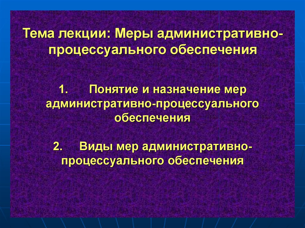 Назначенные меры. Меры административно-процессуального обеспечения. Меры административно-процессуального обеспечения понятие. Процессуальное обеспечение понятие мера. Меры адм процессуального обеспечения.