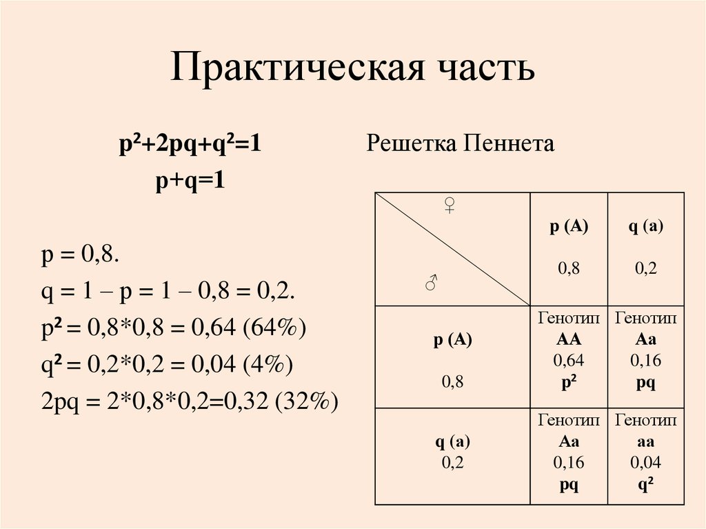 Закон харди вайнберга презентация 11 класс