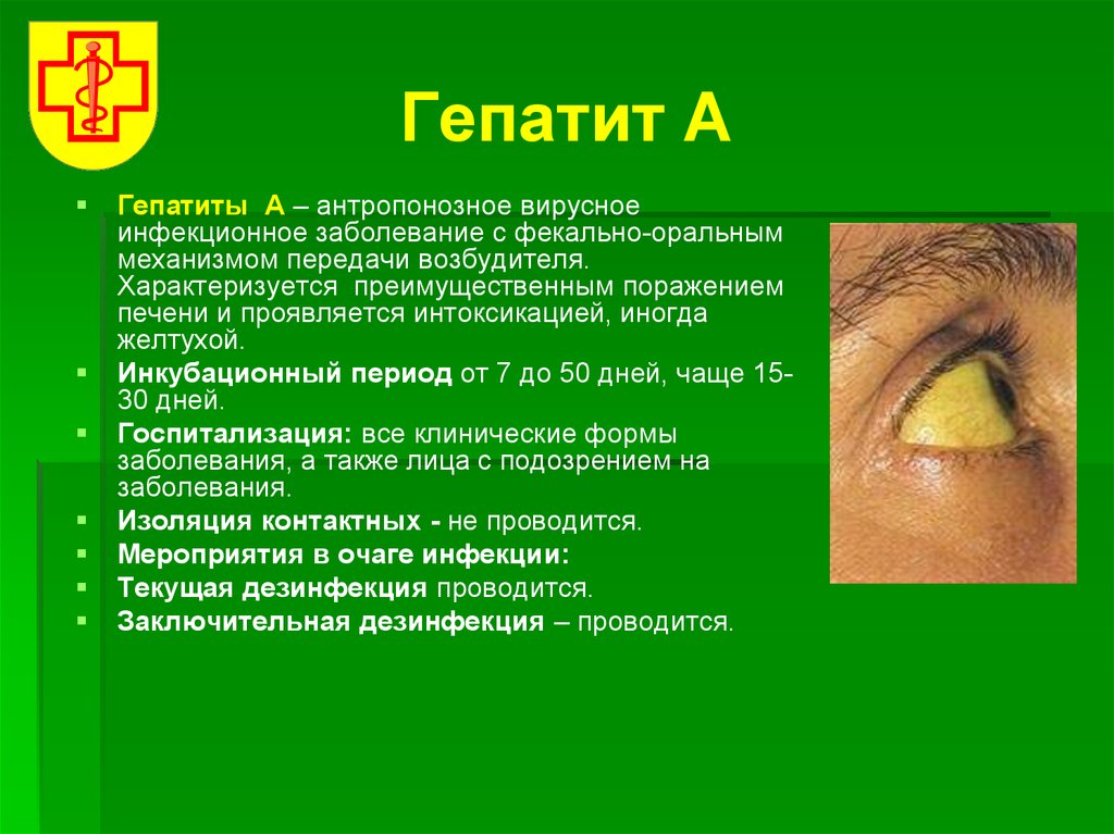 Вирусный гепатит желтушный период. Вирусные гепатиты. Gepattit AA. Вирус гепатита в.