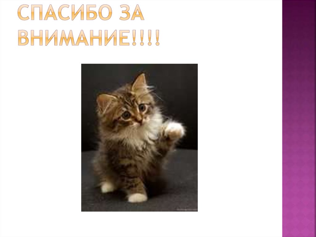 Спасибо за внимание!!!!