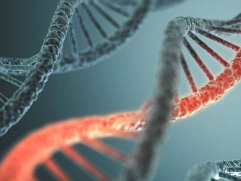 Разрушенное днк. Фото ДНК помидора. Гены влияющие на цвет шерсти фото.