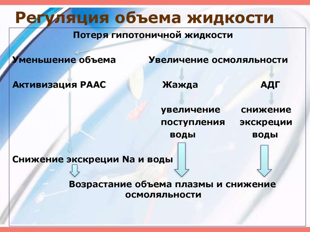 Жидкое объем. Регуляция объема жидкости. Жидкостные КОМПАРТМЕНТЫ организма. КОМПАРТМЕНТЫ воды в организме. Уменьшение жидкости.