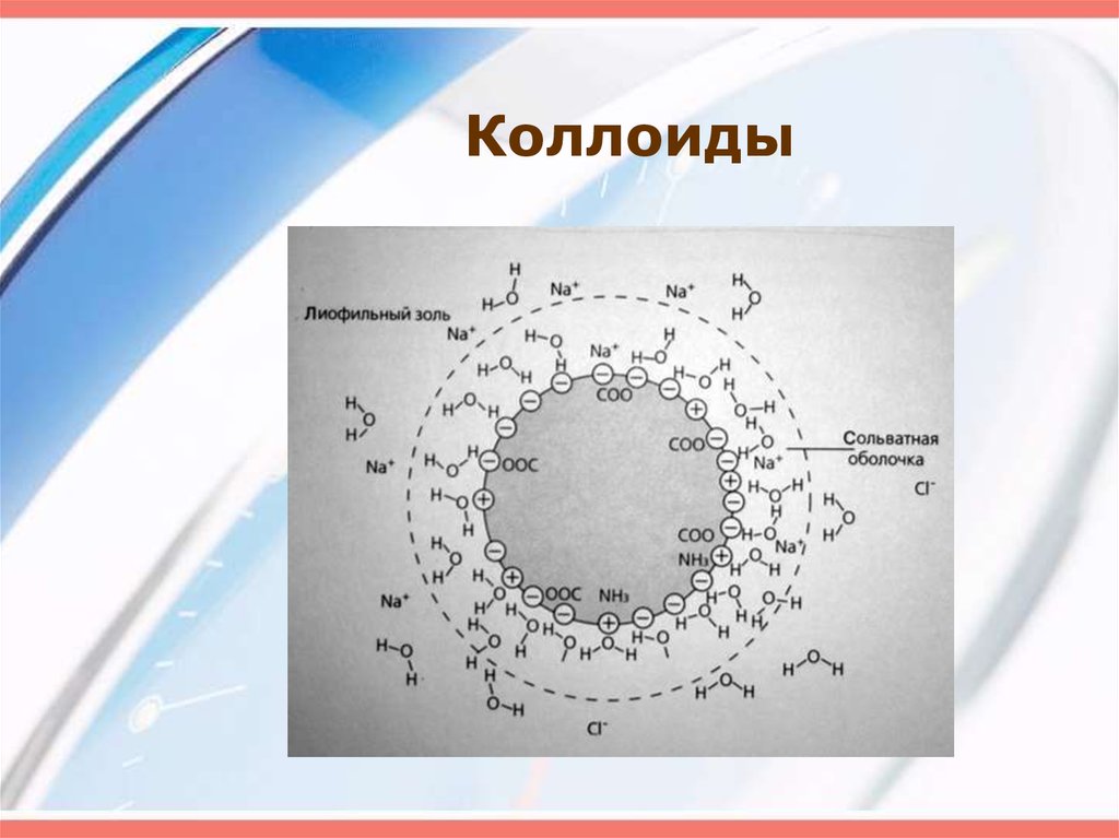 Коллоиды это. Коллоиды. Кораллоед. Коллоидные соединения. Гидрофильные коллоиды.