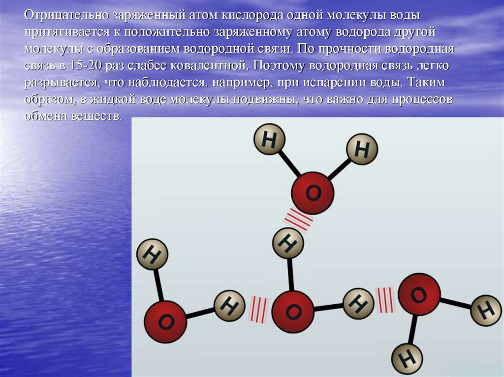 Атом почему отрицательный