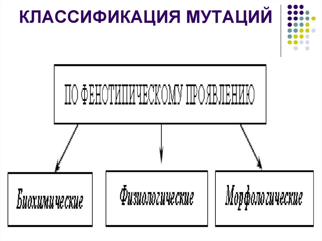 Типы мутаций рисунки