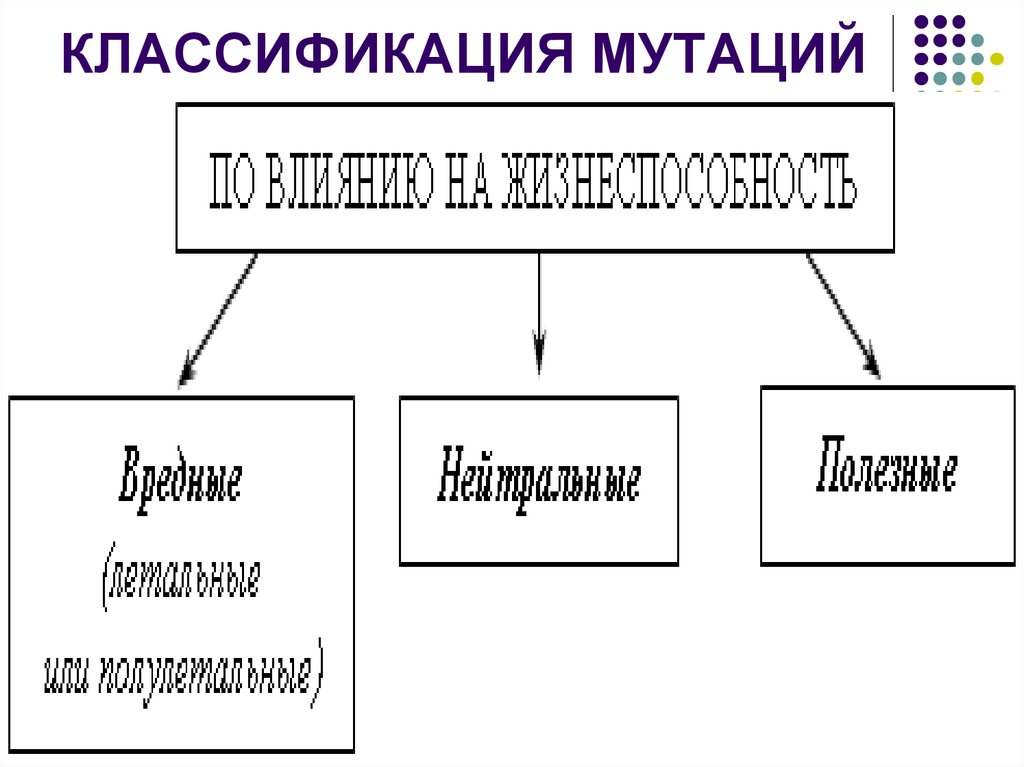 Классификация мутаций по уровню изменений наследственного материала