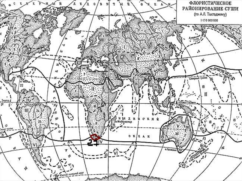 Районирование. Районирование по Тахтаджяну. Флористические царства по Тахтаджяну. Флористическое районирование суши. Флористическое районирование суши Тахтаджян.